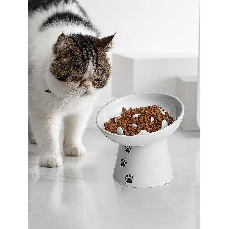 Y YHY Slow Feeder Cat Bowl, Ceramic Cat Slow Feeder Bowl, 6 Inches, Elevated, Anti Vomiting for Dry and Wet Food, White