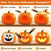 Tavolozza Fine Arts Professional Pumpkin Carving Kit, 26 PCS Heavy Duty Stainless Steel Tools with 9 Knives, Saw & Scoop, Halloween Carving Set with