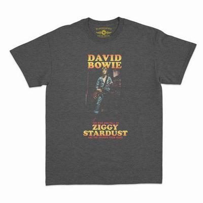 David Bowie Ziggy Stardust & the Spiders T-Shirt and Kids Tshirt - Classic Heavy Cotton