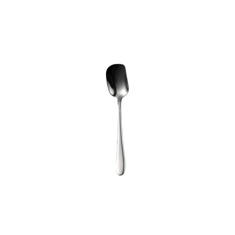 Qianxing 304 Stainless Steel Ice Cream Spoon Set