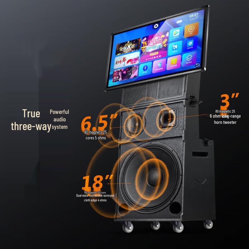 

SAST ST-2118 Outdoor KTV Sound System