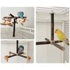 Bird Perch Nature Molar Stand for Parrots Conure Supplies Budgies Grinding Scratchers for Small Medium Parrots Toy