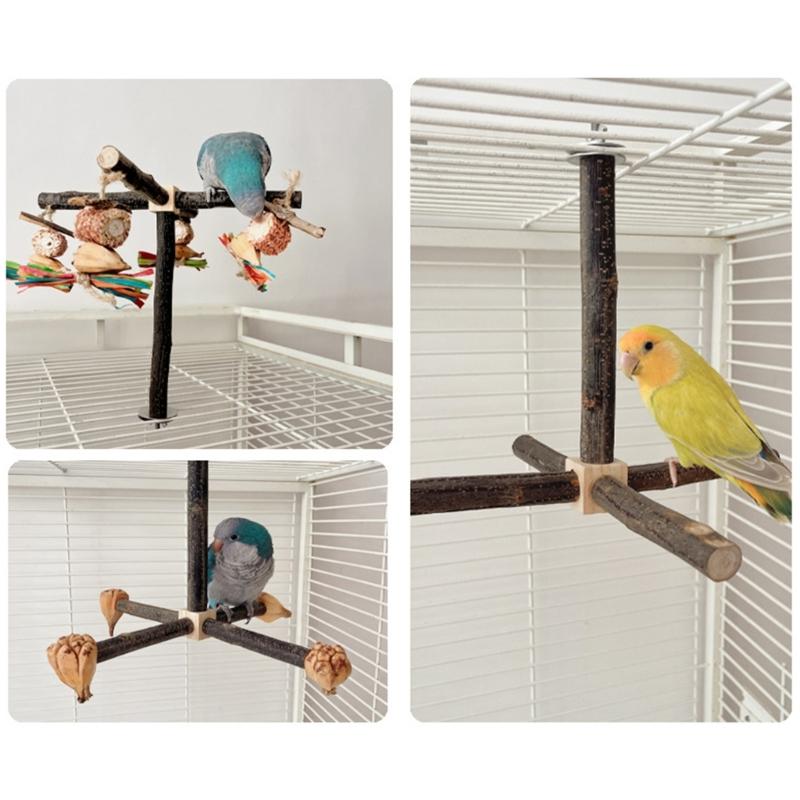 Bird Perch Nature Molar Stand for Parrots Conure Supplies Budgies Grinding Scratchers for Small Medium Parrots Toy