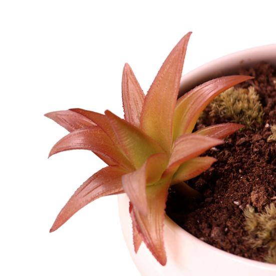 Mini Künstliche Sukkulenten Realistische Fake Kleine Kakteen Pflanzen Bunte Kunststoffe Beflockte Topflose Pflanzen für Garten Blumentopf Küche Heimdeko