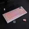 113Key PC Keycaps Set for Mechanical Keyboards with Double Shot Injections OEM Profile Keycap Crystal Jelly Design