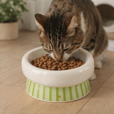 Kedi – Kedi Besleme ve Sulama Malzemeleri