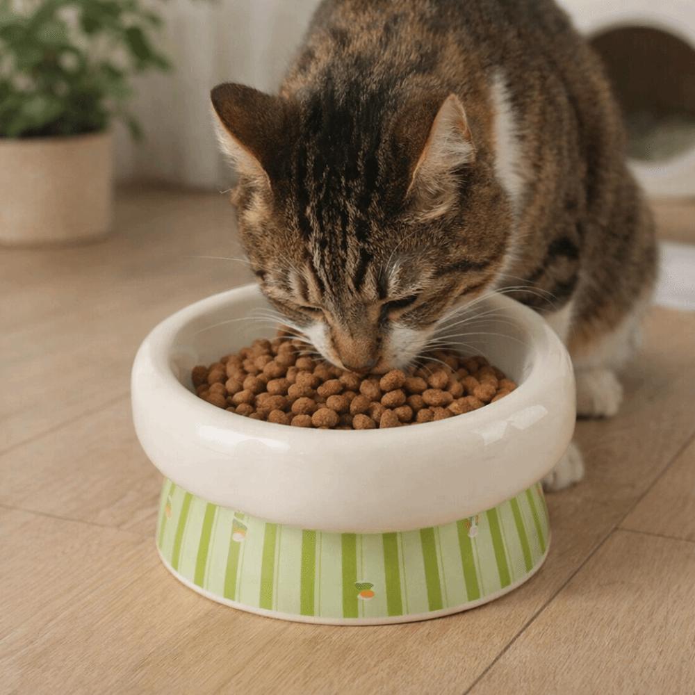 High Foot Ceramic Cat Bowl Anti-Slip Base Wide Mouth Pet Drinking Bowl Anti-Rollover Prevents Spills Dog Food Feeder Multi-Use