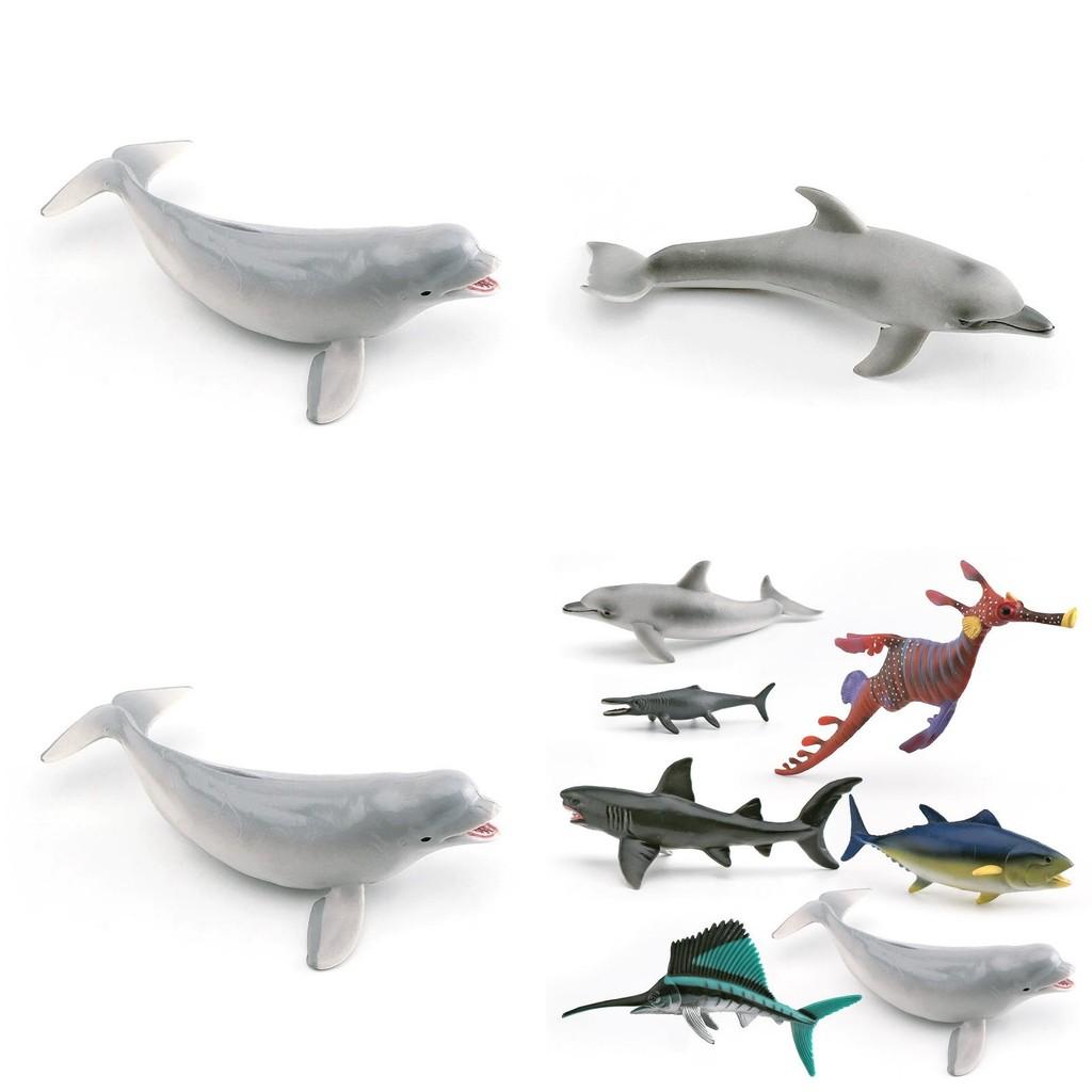 Meeres-Tier-Replik Weißer Walhai Statisches Modell Für Aquarien-Ausstellung Und Meeres-Bildung