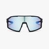 Goggles Sunglasses (FLG7049M MATTNAVY 133)
