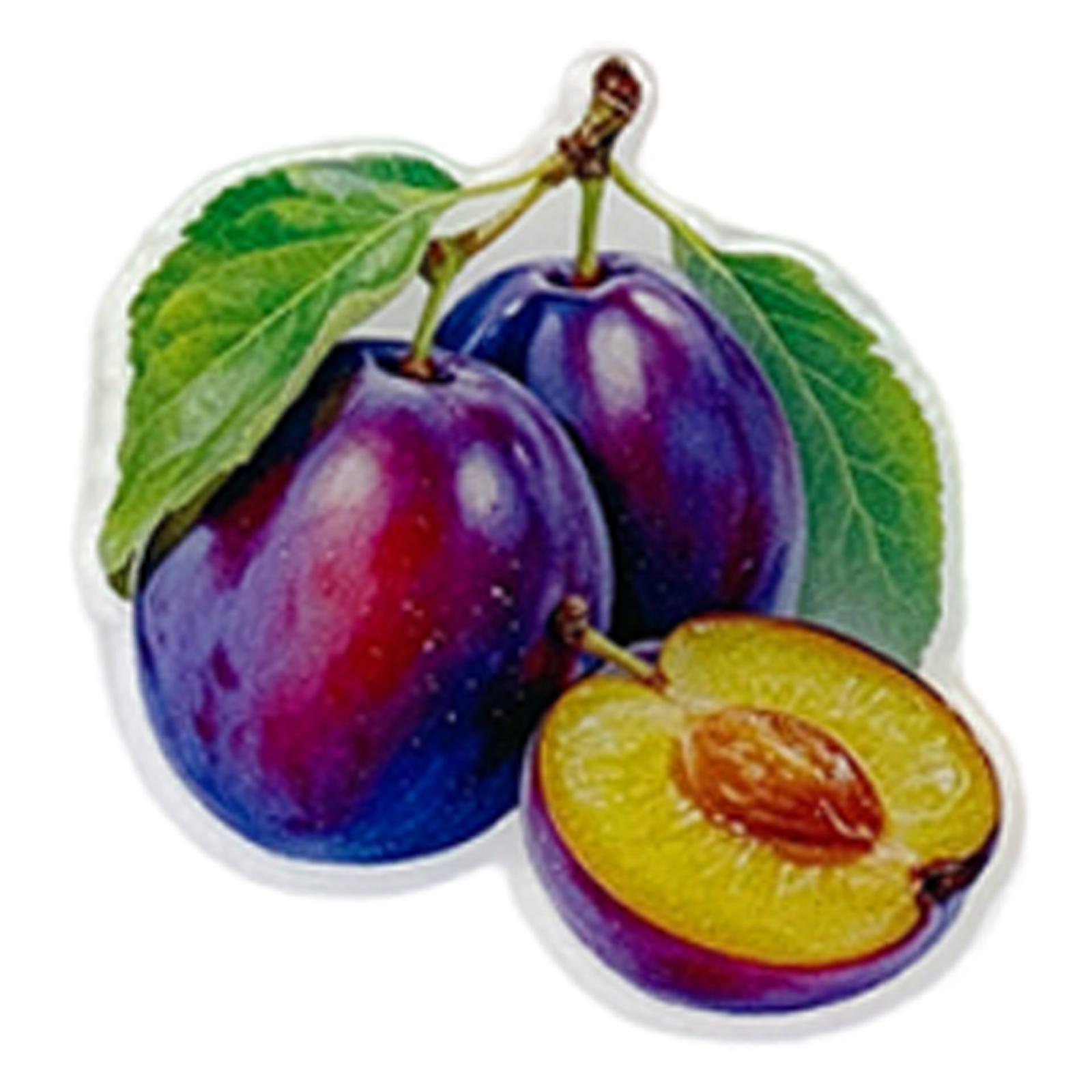 Fruit Magnetic Acrylic Embroidery Needle Holder Cross Stitch Needle Minder for Cross Stitch Sewing Embroidery and Needlework