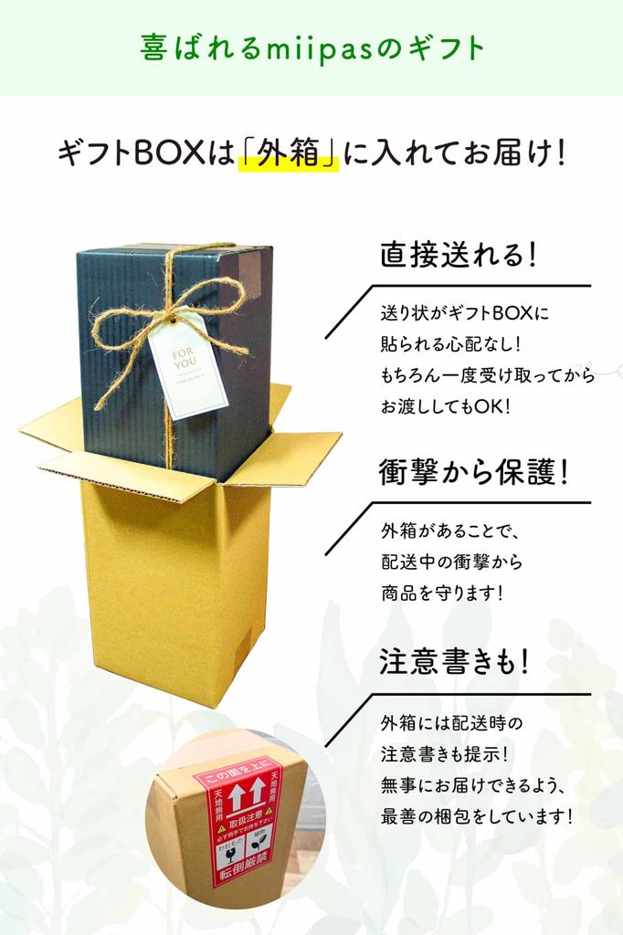 Sansevieria Geschenkbox nur Setbox, die als Tag Geburtstag Baby Hochzeit 60. Geburtstag ein Geschenk zum Übermitteln Echte Zimmerpflanze Hydrokultur Mini