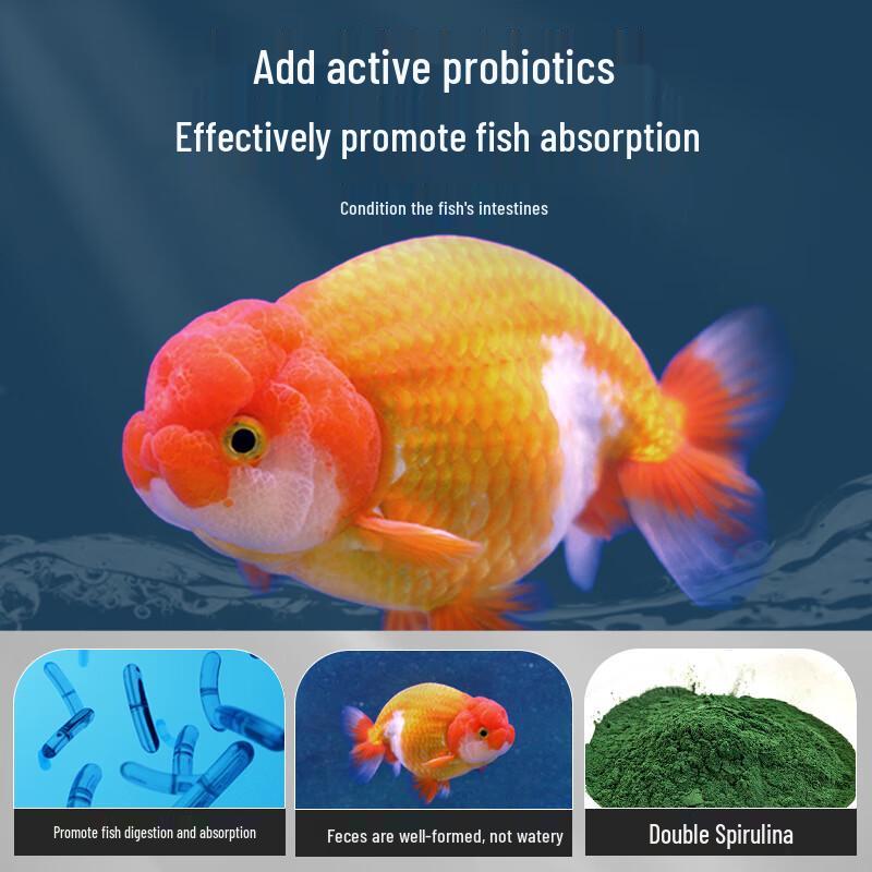 BESSN Premium Goldfischfutter