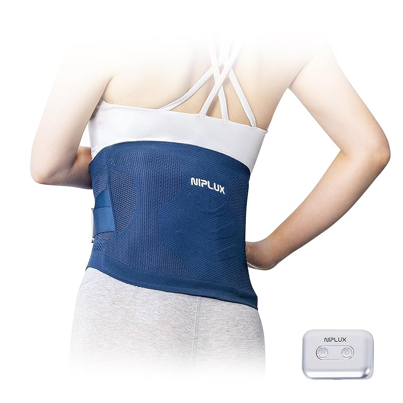 

NIPLUX electric waist supporter waist heat vibration butterfly shape free size waist belt support belt pelvis lumbar vertebrae corset man woman Dual