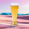Thickened Craft Beer Glasses (2-Pack)