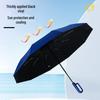 Hongye Automatic Windproof Umbrella