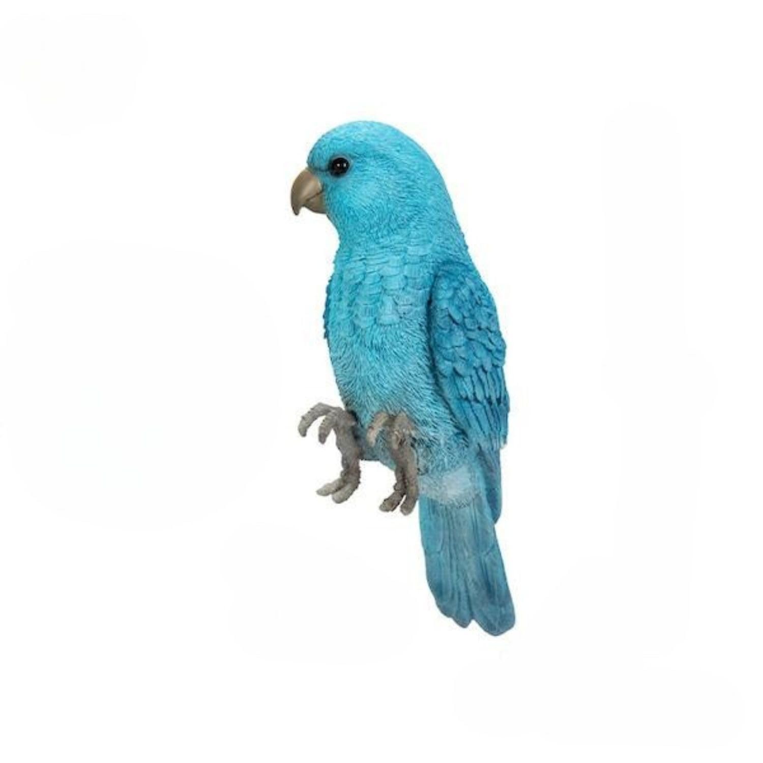 

Ubia Monk Parrot Border 23 x x 8 Animal Garden Cute Decoration, 6.5 cm, Figurine, Ornament, Decor, Realistic, Bird, H23041-1