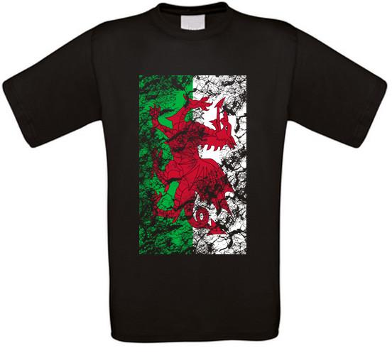 Wales Cymru Cardiff Swansea T-Shirt S