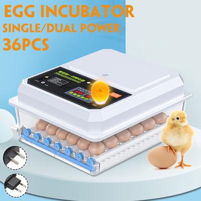 36 Eggs 220V Chicken Automatic Eggs Incubator Bird Quail Brooder Farm Hatchery Incubator Brooder Machine Egg Hatchers