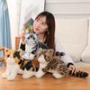 Cute Simulation Kitten Doll Plush Toy Cat Doll Children Soothing Company Pillow Doll