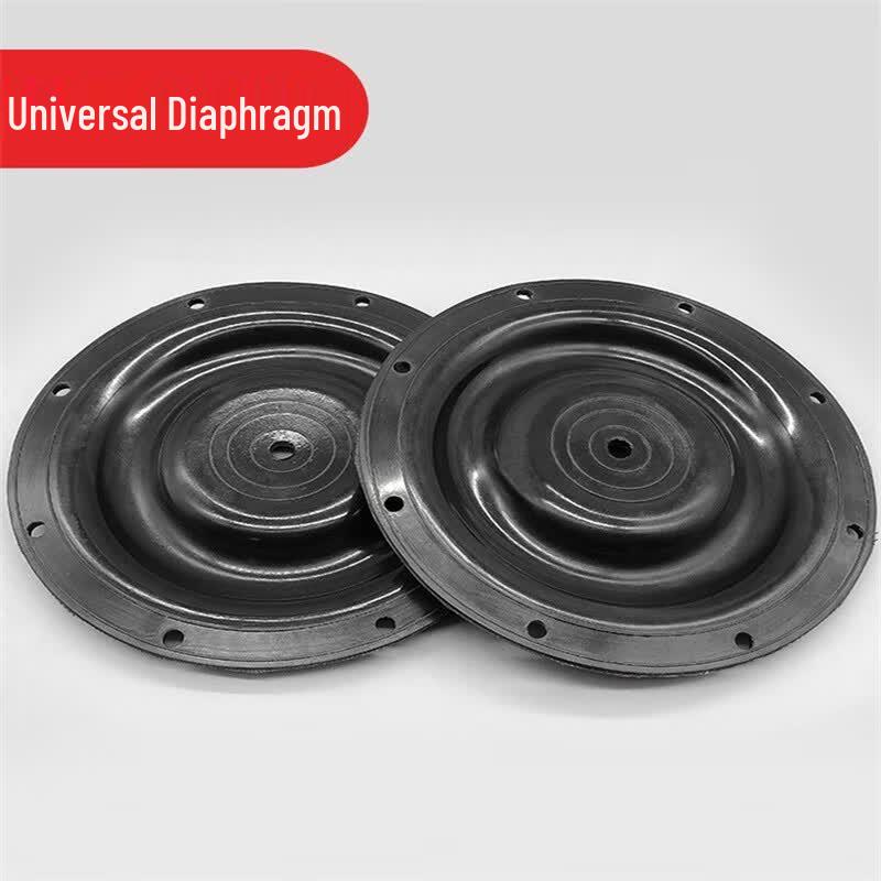 Corrosion-Resistant Diaphragm for QBY/DBY25/40 Air Pumps