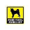 No Dog Ride Dog Is Home Funny Magnet Decal Car Sticker Sticker Sticker 0.8 Thick Strong Crimp