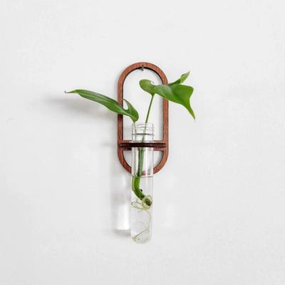 Wandbehang Pflanzenvermehrungsstation Holz Pflanzen-Terrarium für Hydrokultur Heim-Büro-Dekor Reagenzglas Vermehrung Luftpflanzen Stecklingshalter