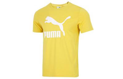 T Shirts Men's Lemon Crew Neck Moderate Straight Fit 532280-31