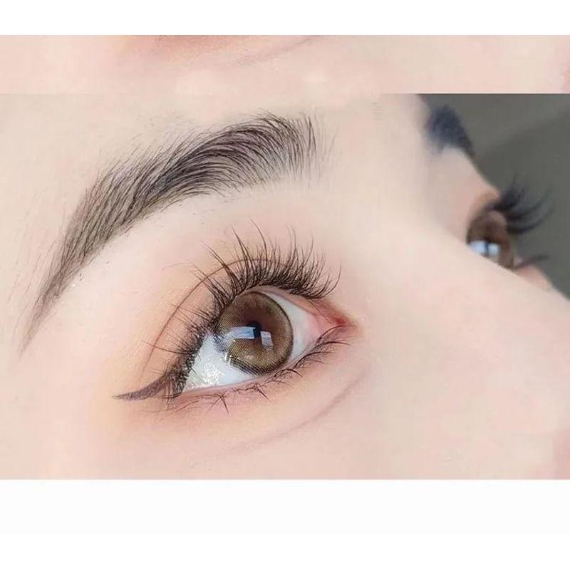 Lashie - Set mit 5 Paaren: Natürliche, zarte Falsche Wimpern mit transparentem Band