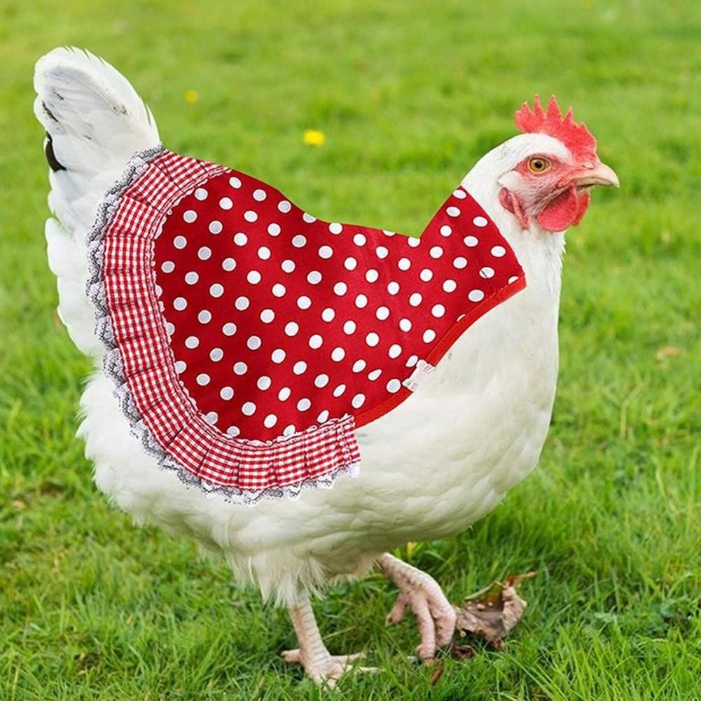 3 Pieces Chicken Saddle, Chicken Jacket Hen Apron Feather Fixer Poultry WiW YV7