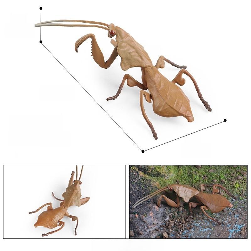 Реалистичный набор моделей насекомых Пластиковые копии Для образования Науки Выставки Энтузиастов Style 1