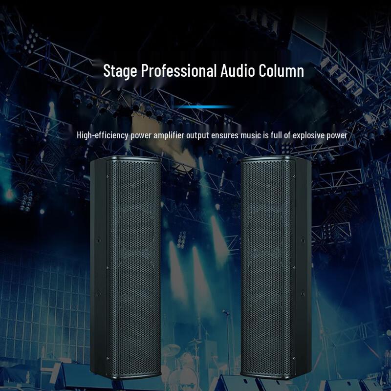 Runpu Professional Line Array Speaker for Conferences (CN version)