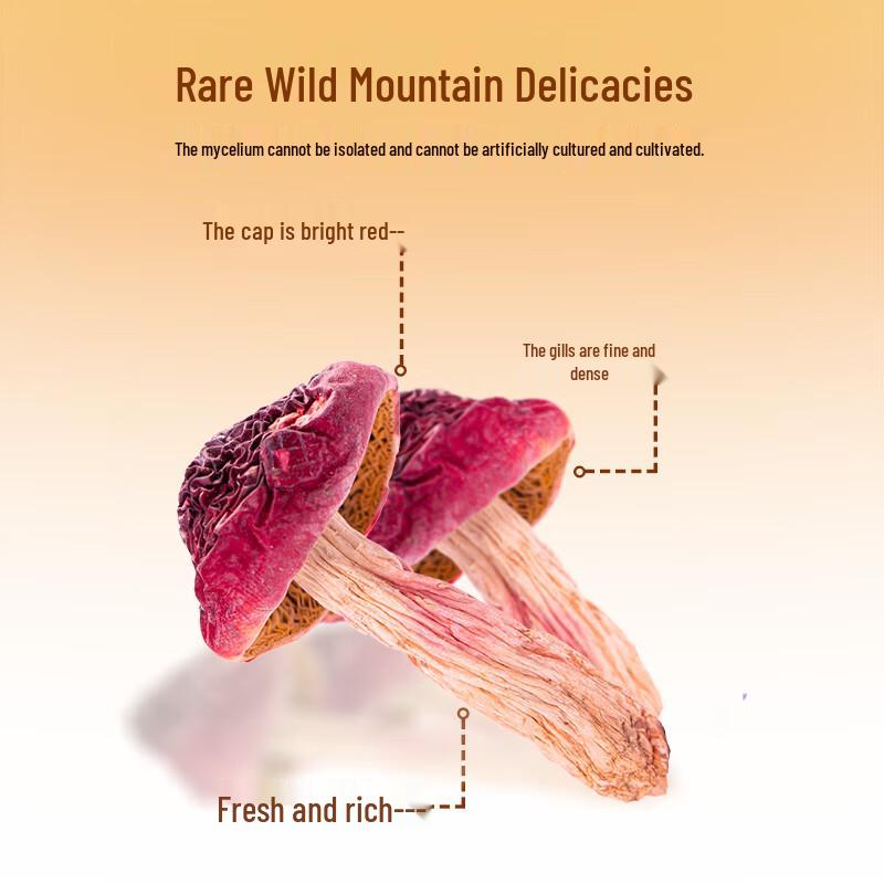 Fujian Wild Red Mushroom Gift Box