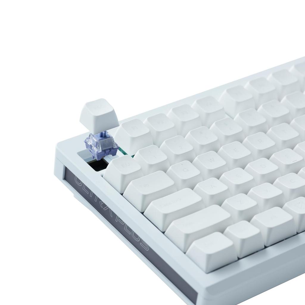 Princeton ULTRA PLUS UP Trigger Compatible Gaming Keyboard with Rapid Magnetic Wired SOCD CNC Full MDA White Triggers, 75% Non-Contact Switches,