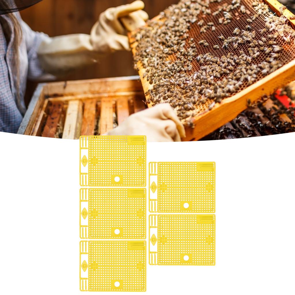 5 Stück Wiederverwendbarer Königinnenkäfig Tragbares Königinnen-Einführungswerkzeug Bienenstock-Zuchtgeräte-Set