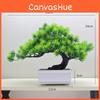 Changpai Simulated Scotch Pine Thuja Sutchuenensis Artificial Green Plant Bonsai