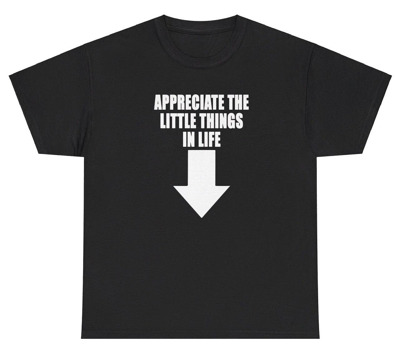 Appreciate The Little Things Dick Meme TShirt Funny Inappropriate Adult Gift Tee XXL