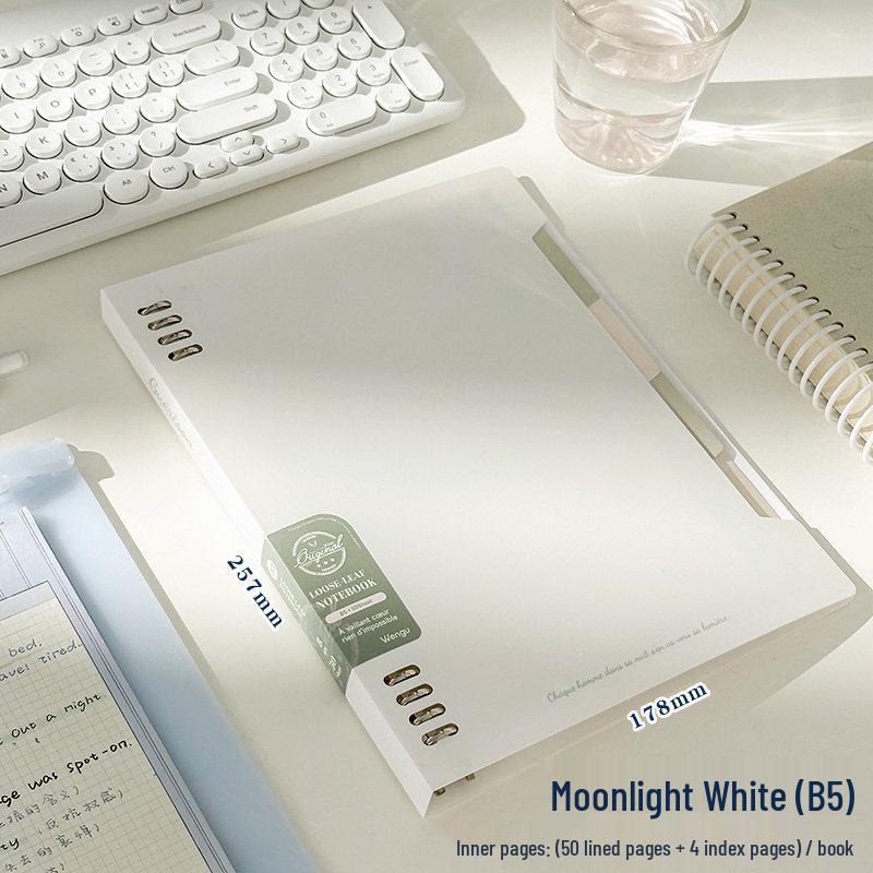 Detachable, High-Quality Loose-Leaf Notebook for Students and Graduates - Perfect for Back-to-School and Error Logging.