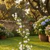 Bees Garden Stake with Bells Wrought-Iron Metal Lawn Decor Rustic for Homeowners