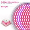 850nm 660nm Anti Aging Red blue LED Light Therapy Bulb With Lamp Clip Red Near Infrared Beauty Full Body Skin Care Pain Relief
