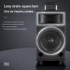 MALONE Portable Bluetooth Karaoke Speaker with Wireless Microphones (CN version)