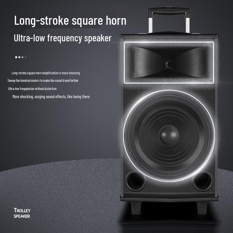 MALONE Portable Bluetooth Karaoke Speaker with Wireless Microphones (CN version)