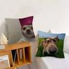 Cute Dog Funny Meme   Pillow Cushion Cover Pillowcase Living Room Sofa Home Decor Customized