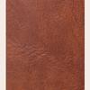 Faux Leather Backpack for Woman Vintage Everyday Backpacks Women Luxury Bags Designers Brown Green Wine Red