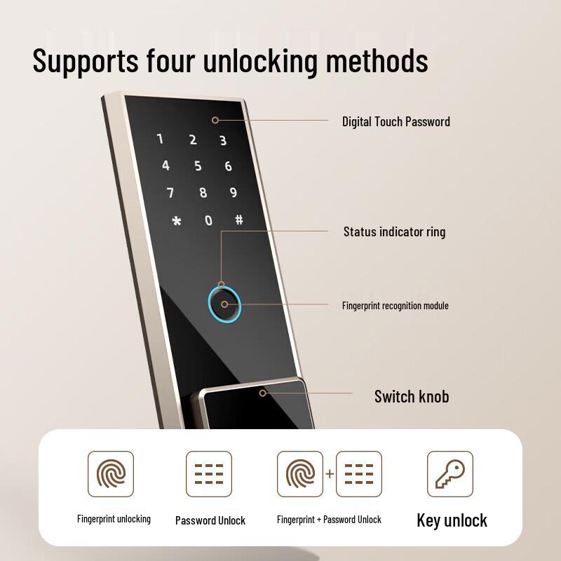 Deli AE65-ZM 45cm Fingerprint Password Safe