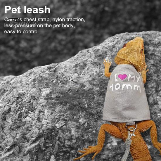 Lizard Reptile Leash Harness Set Adjustable Small Animal Harness with Traction Rope for Bearded Dragon Chameleons Outdoor Walking