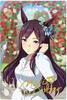 Uma Musume Twin Wafers Mejiro Dober Candy Toys Not [R8] W8-30 (Special Card) Card Only. Included.