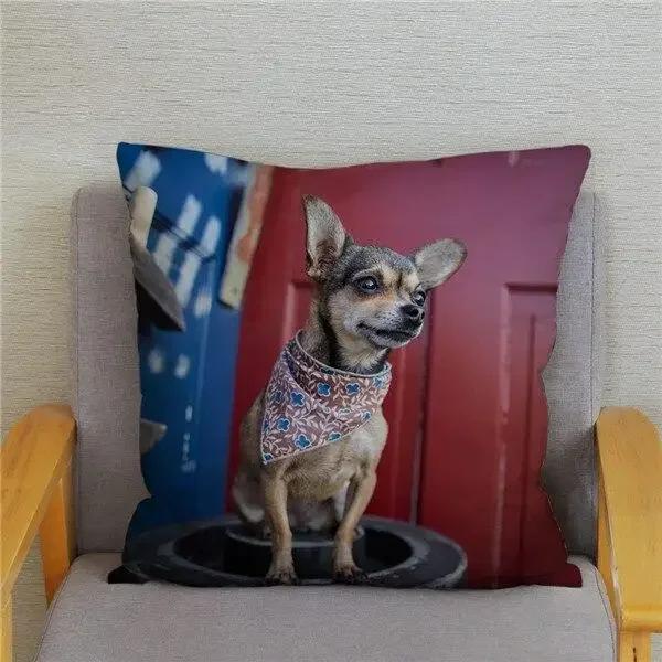 Cute Mini Chihuahua Dog Printed Cushion Cover Pillow Case Hugging Pillow Case Sofa Home Decor Pillow Case
