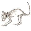 Halloween Skeleton Animal Decoration Creepy Cat/Dog/Bird/Rat/Goat Head Plastic Bones for Courtyard Graveyard Halloween Decor