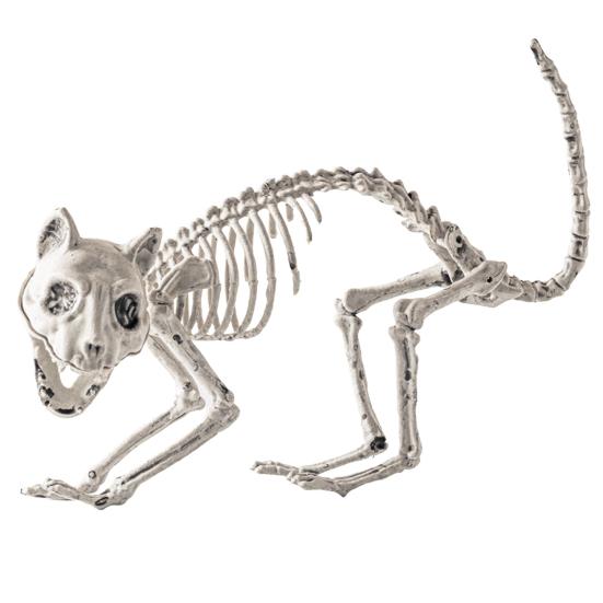 Halloween Skeleton Animal Decoration Creepy Cat/Dog/Bird/Rat/Goat Head Plastic Bones for Courtyard Graveyard Halloween Decor