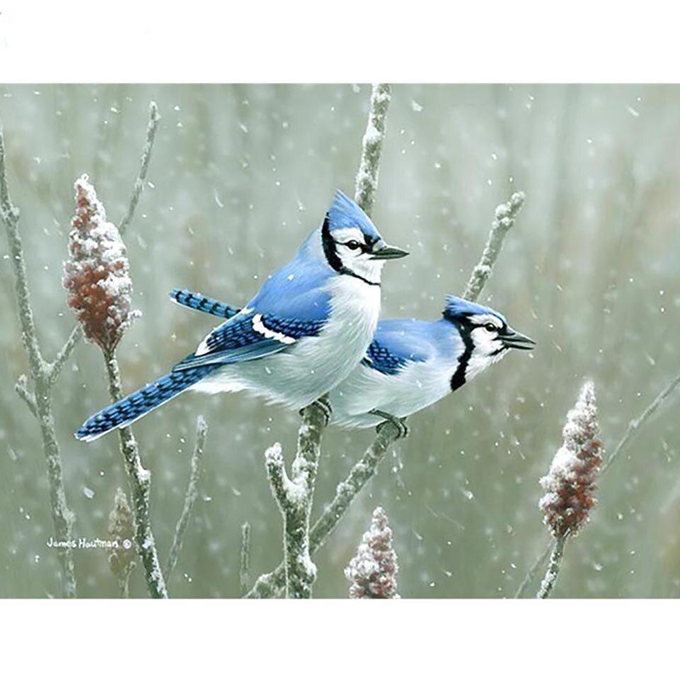 Полная вышивка крестом Алмазная птица Животное Картина Снег Вышивка Картина Декор дома 20X30CM